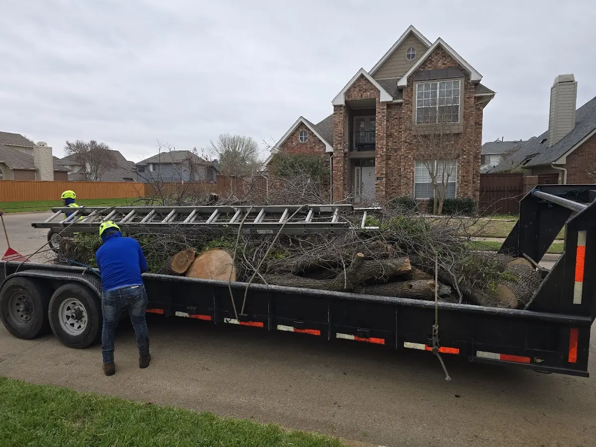 Expert Tree Fertilization with proper safety equipment in Savannah